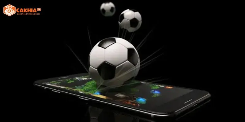 điều khoản quảng cáo và các dịch vụ liên quan khác